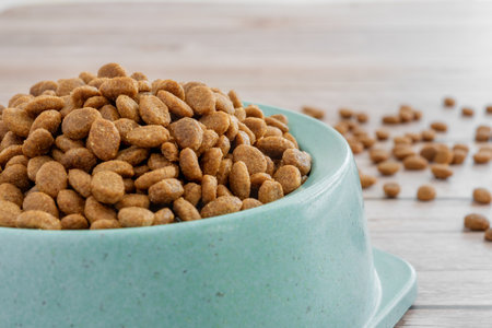 Dry food for cats and dogs in a green bowl on a wooden background. close-up.