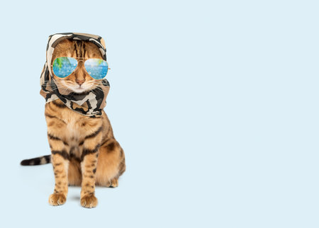 A cat with a headband and colored glasses on a blue background. Diva cat, fashionable pet. summer cat. Copy space.の写真素材