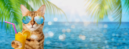 Funny cat in sunglasses holds a tropical cocktail on the background of the sea or ocean.