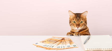 Domestic cat sits at the table and counts money. home budget. Copy space.の写真素材