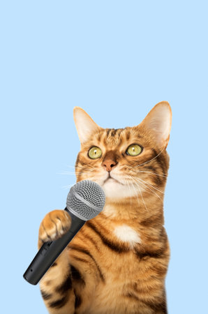 Cute kitty is holding a microphone. copyspace.の写真素材