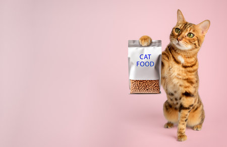 Bengal cat with raised paw on a white background. vertical shot.の写真素材