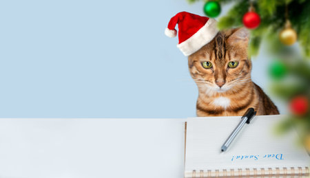 A Christmas cat in a Santa hat writes a letter to Santa Claus. Greeting card. Copy space.の写真素材
