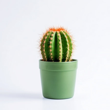 Cactus in a pot isolated on a white background. Generative AI.の素材