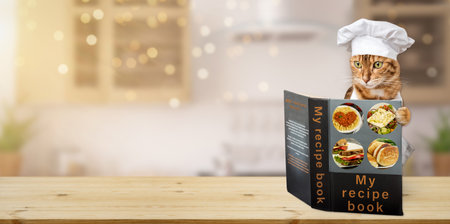 The cat cook is reading a cookbook. Copy space.の写真素材