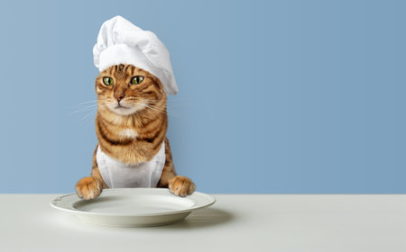 Cat chef and an empty plate on the table. Copy space.の写真素材