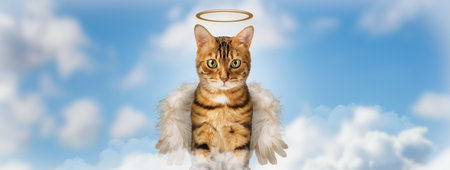A cute Bengal cat with wings and a halo above his head sits on the clouds in the sky. The cat is an angel.の写真素材