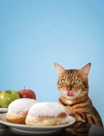 A funny red cat licks his lips while looking at donuts. Choosing between unhealthy and healthy food.