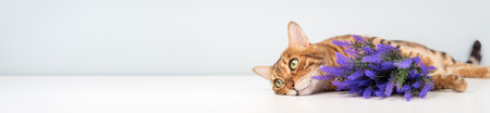 A close-up of a green-eyed Bengal cat lying next to a bouquet of purple flowers against a light...