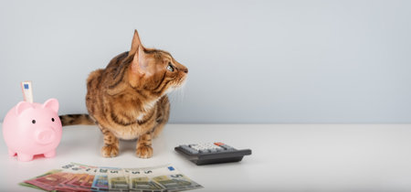 A Bengal cat next to a pink piggy bank, money, and a calculator on a minimalist background. Conceptual ideas for finance, savings, investments, and personal budgeting.の写真素材