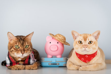 Two cats, a Bengal and a Burmese, lie next to a pink piggy bank wearing a straw hat, which rests on a small suitcase. This studio composition is conceptualized as a travel and savings project.の写真素材