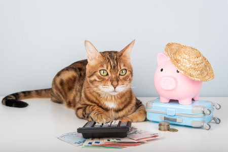 A Bengal cat with a calculator, money, and a pink piggy bank in a straw hat on a small toy suitcase. Concept for vacation savings and financial planning.の写真素材