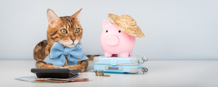 A Bengal cat with a calculator, money, and a pink piggy bank in a straw hat on a small toy suitcase. Concept for vacation savings and financial planning.の写真素材