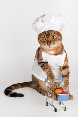 A cat dressed as a chef with a miniature cart and vegetables on a white background. A humorous studio photo with copy space for advertising, culinary, and marketing concepts.の写真素材
