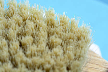 Macro photo of cactus fiber brush. Spa beauty concept.の写真素材