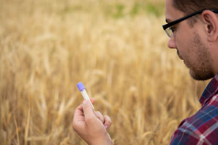 A farmer examines a plant in a wheat field. In his hand he holds a glass test tube with the test...