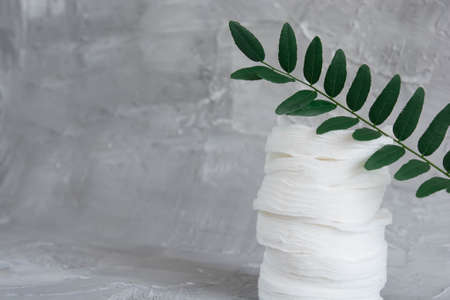 Cotton pads on a gray background, a green branch of a plant, the concept of skin cleansing,...