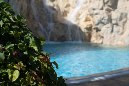 A small waterfall over the rocks and among the vegetation of the parkの写真素材