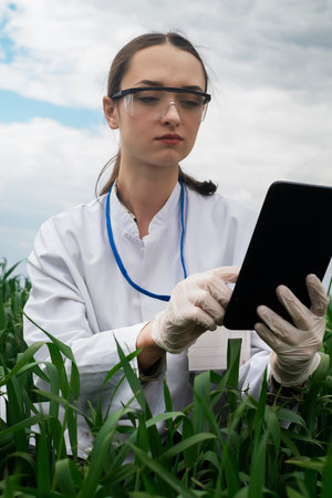 a female agronomist in a white coat checks the growth of plants in the field. A biologist in the field checks the readings of wheat, a farmer takes notes on a tablet, agribusiness conceptの写真素材