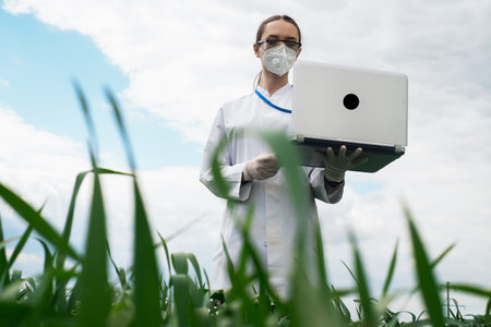 Agronomist using tablet and technology in agricultural corn field. The farmer walks through the field with a tablet. Biologist woman with laptopの写真素材