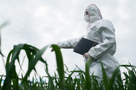 scientist in protective white PPE suit, treats seedlings, sprays leaves with fertilizers and fights infectious diseases, grows mushrooms under artificial light in a greenhouse, biotechnology concept. food technologies. nutrition science.の写真素材