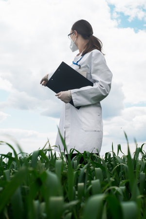 Geneticists, biologists and scientists study the genetic structure of wheat sprouts in the field, agro concept, farmingの写真素材
