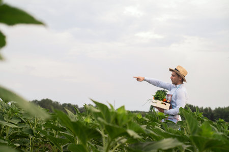A male organic farmer stands in a vegetable field, holding a wooden box with beautiful freshly picked vegetables, organic vegetables and healthy lifestyle concept.の写真素材