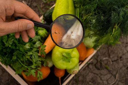 farmer holding a crate of bio vegetables in the farm. Happy man showing box of harvested vegetables