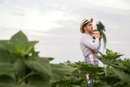 young man holding a box of vegetablesの写真素材