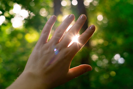 Female hand illuminated by a ray of light, summer green forest bathed in morning sunlight.の写真素材