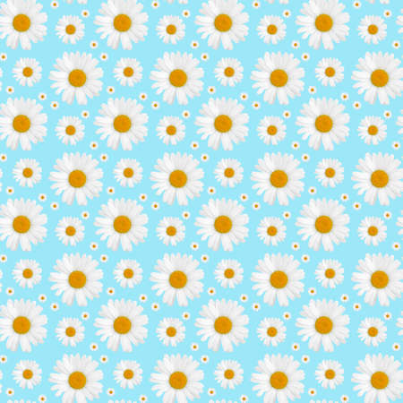 White Camomiles flower on a blue background with an isolated seamless patternの写真素材