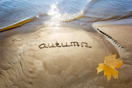 Autumn sandy beach by the sea on a sunny day. Landscape.の写真素材