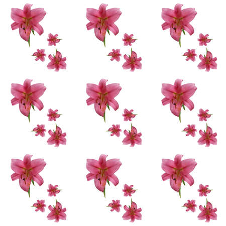 Seamless pattern of lily flowers isolated on white. For the print. textures.の写真素材