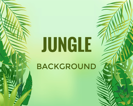Jungle background. Trees and plants. Vector illustrationのイラスト素材