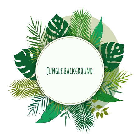 Jungle background. Vector illustrationのイラスト素材