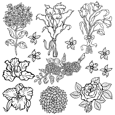 Flower set. Vector illustration. Flowers isolated on white background. Objects for coloring.のイラスト素材