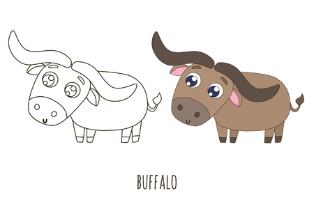Black and white and colored cute buffalo vector illustration. Coloring pageのイラスト素材