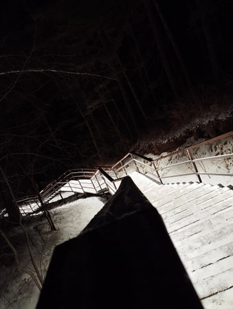 Wooden stairs in a dark forest at night. Long exposure.の写真素材