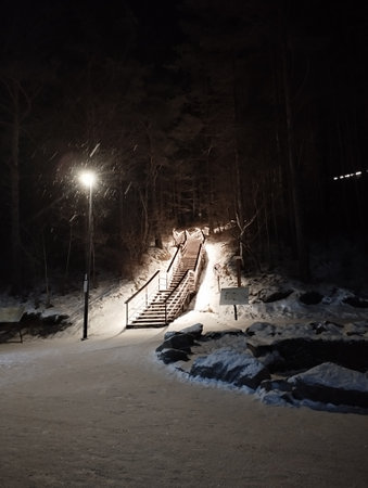 Wooden stairs in the winter forest at night with lanterns.の写真素材