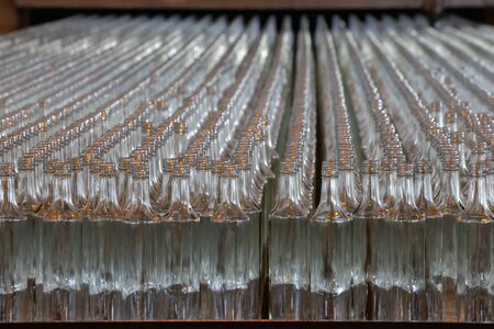Glassworks. Glass industry. Many glass bottles on a factory conveyor in a row