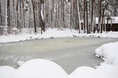 An ice covered forest lake in the winter forestの写真素材