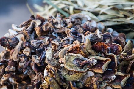 Dry mushroomsの写真素材