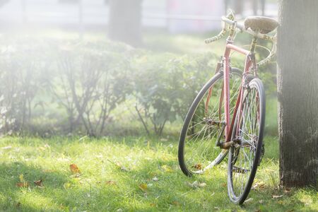 Retro bike on foggy morning on green grassの写真素材