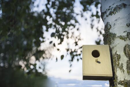 Blackboard on the background of the bar. Empty menu in the evening restaurantの写真素材