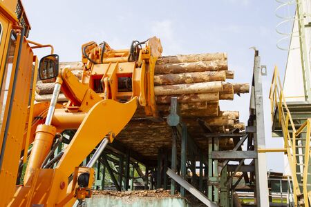 Wood processing industry. Loader with logs. Industrial wood processing