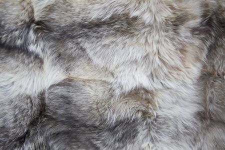 Background image of fur. Fur texture. Natural wool