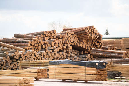 Woodworking plant. Wood processing industry.Wooden warehouse