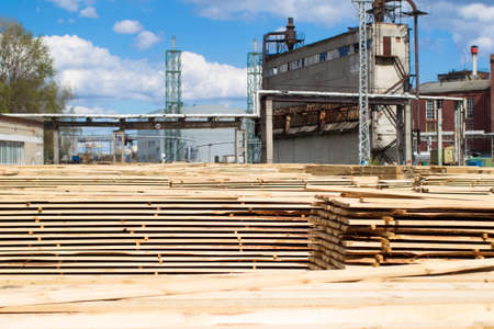 Woodworking plant. Wood processing industry