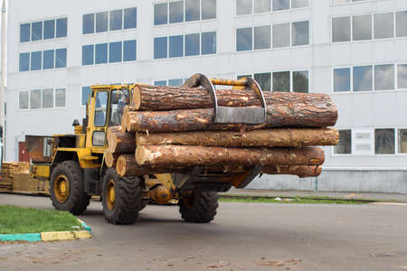The train transported wood in a wood processing plant