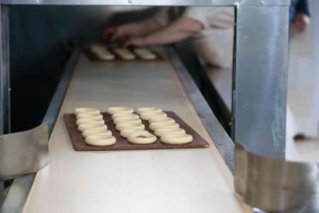 Industrial line for the production of biscuits and bagels. Conveyor belt for the production of...